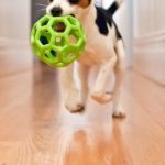 The Art of Fetch