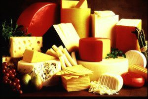 can dogs eat cheese