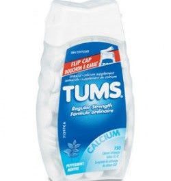 can dogs eat tums can dogs eat graham crackers can dogs eat tums can dogs eat graham crackers
