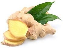 Can Dogs Eat Ginger
