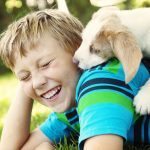 Five All-Natural Ways To Get Rid Of Fleas