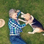 Games for Older Dogs