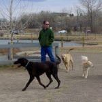 Dog Games – Shadow Game