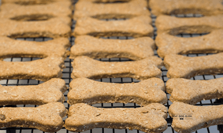 Ready For Easy Homemade Dog Treats?