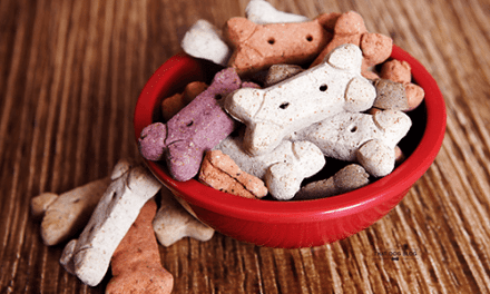 Prepping Ingredients for Homemade Dog Treats