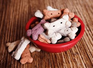 Homemade Dog Treats