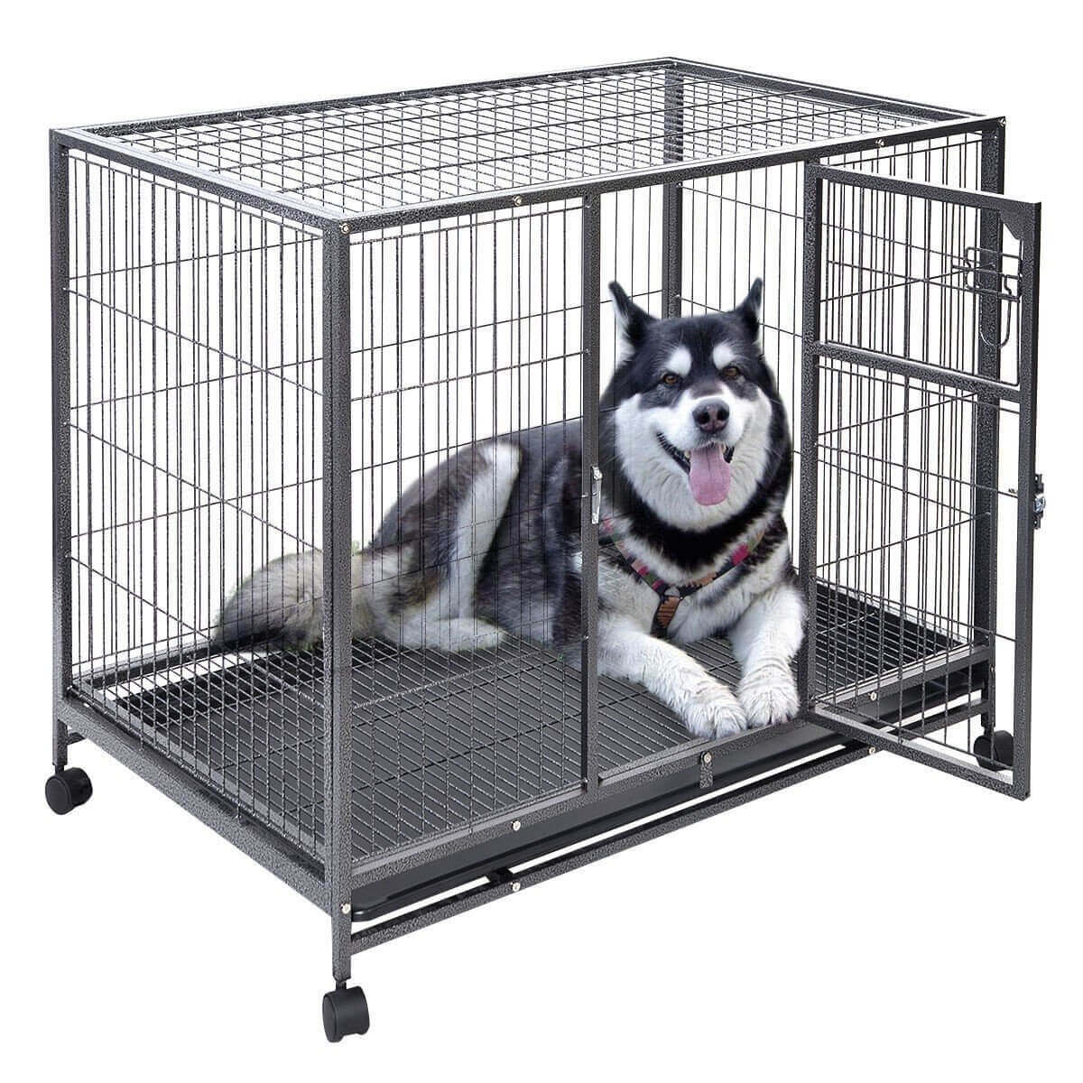 large dog crate craigslist