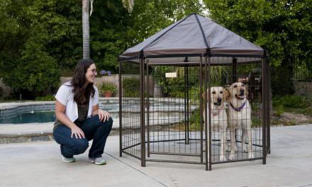 Review: The Advantek Pet Gazebo