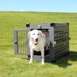 8 Great Features Of The Impact Case Collapsible Dog Crate
