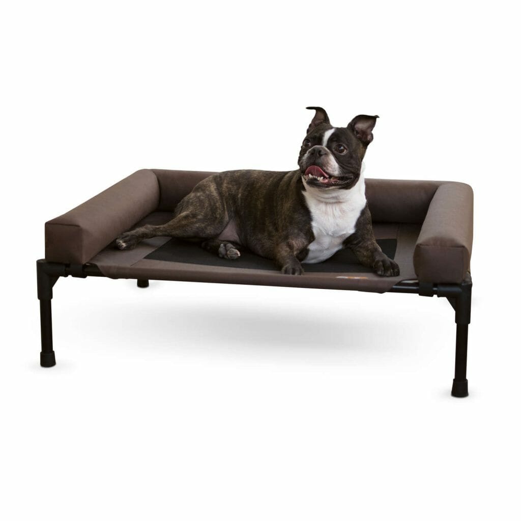 The T 5 dog device with collar is a top-mounted