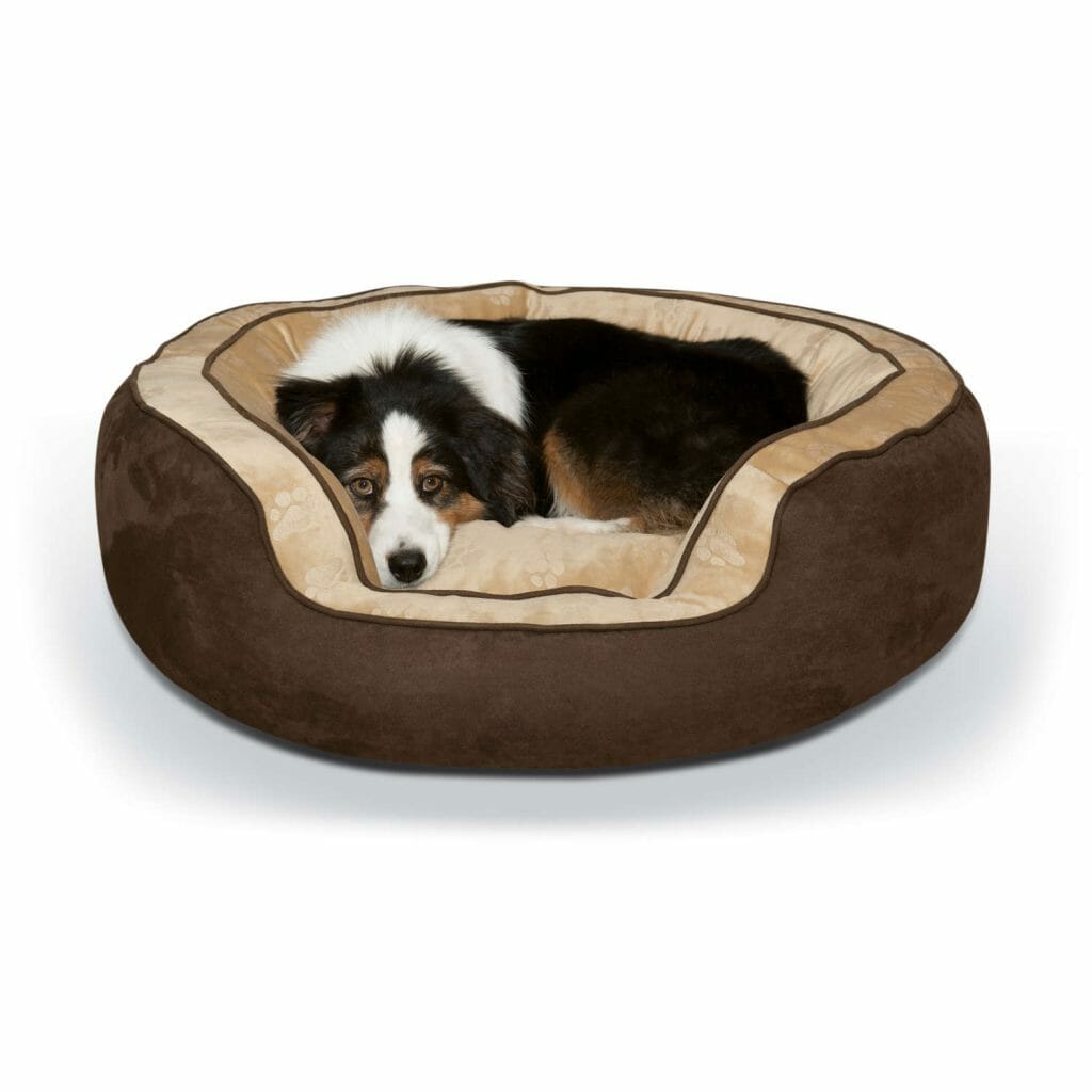 Pet Memory Stones are a lasting way to celebrate your pet.