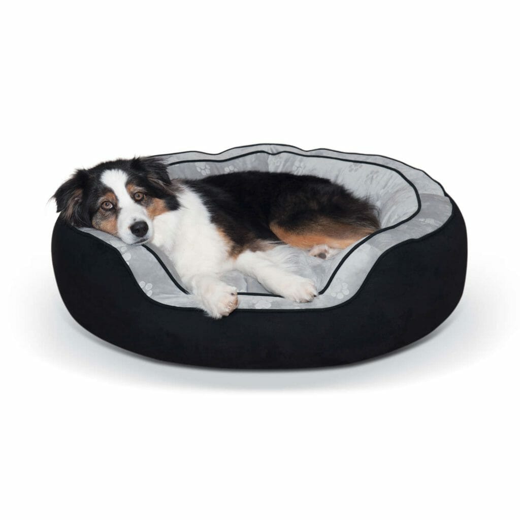 Perfect for any pet